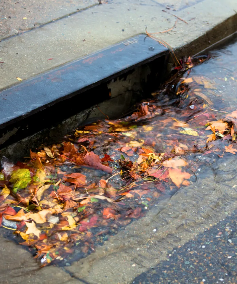 drainage-surrey